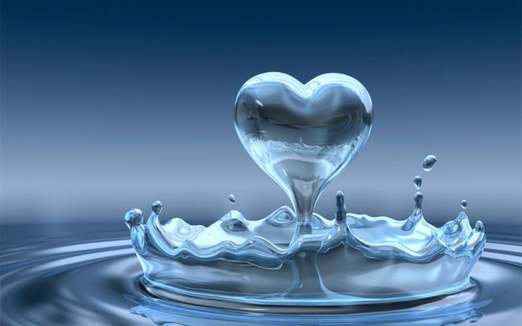 Agua y vida: Ciencia y conciencia por la paz