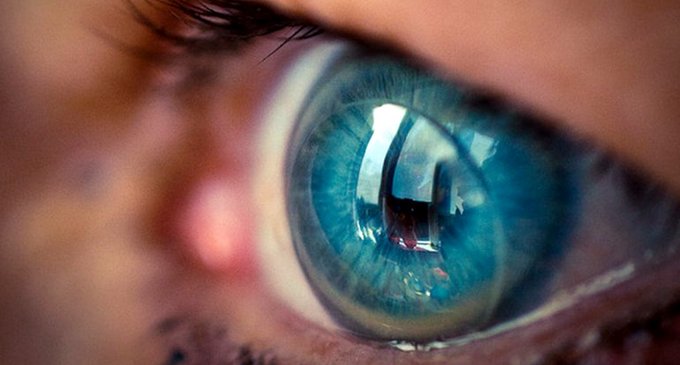 El gigante tecnológico anunció que su filial dedicada a la oftalmología firmó un acuerdo de licencia con el grupo farmacéutico suizo Novartis