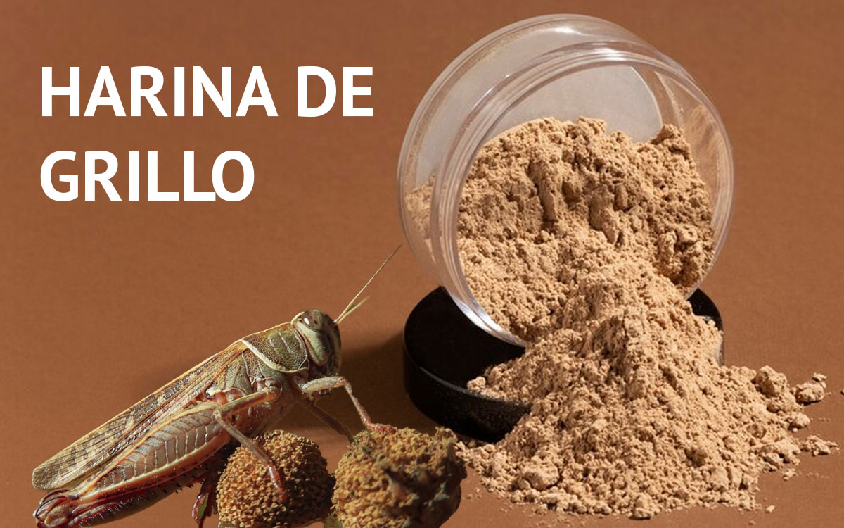 Ni del campo ni del molino… el inesperado ingrediente que ya compite con la harina de trigo