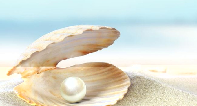 Las ostras que no han sido heridas no pueden producir perlas