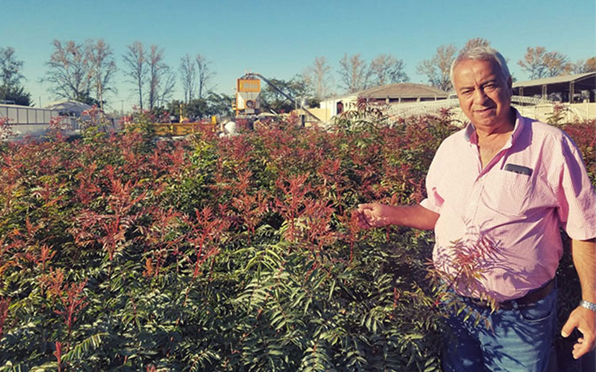 Desde hace más de 40 años, el iraní Marcelo Ighani, dueño de Pisté, cultiva pistacho al sur de San Juan confirmando, tras años de investigación, el potencial de esas tierras para desarrollar una actividad que promete ser de las más rentables.
