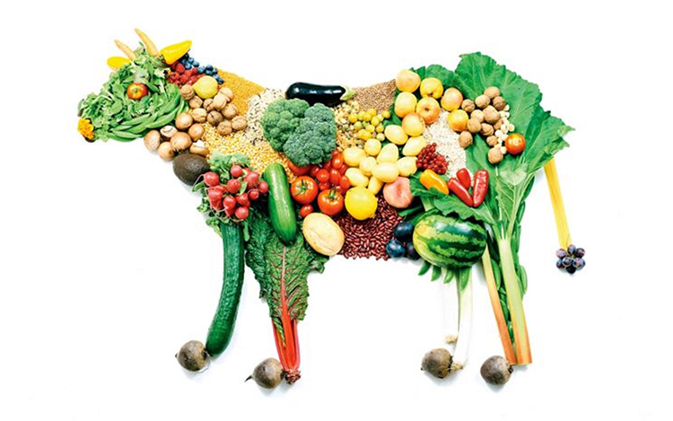 ¿En el futuro seremos todos vegetarianos?