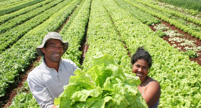 La FAO insta a la región a fortalecer la agricultura familiar como vehículo de crecimiento económico y social