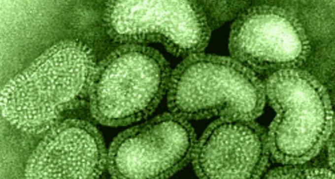 Científicos chinos descubren la 'penicilina virológica' que podría frenar la gripe A