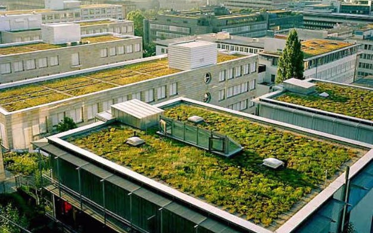 Los techos de Francia deberán cubrirse de plantas o paneles solares