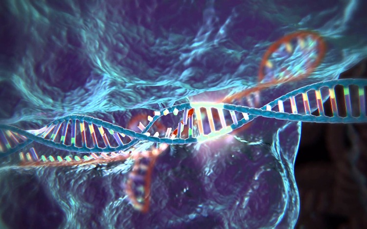 Proyecto CRISPR. ¿La humanidad juega a ser Dios?