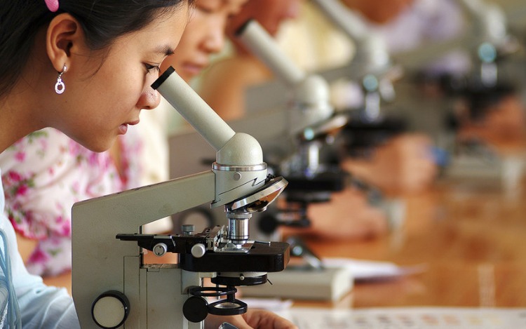 Menos del 30% de los investigadores de todo el mundo son mujeres. Muchos de los grandes problemas que afronta el mundo pueden quedar sin resolverse por la falta de incentivos de muchas mujeres y niñas para estudiar carreras científicas.