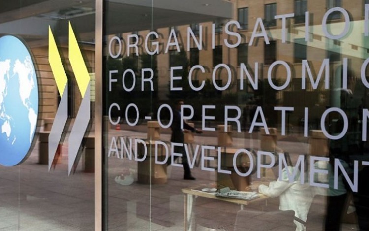 Argentina en OCDE: Oportunidades de negocios sostenibles
