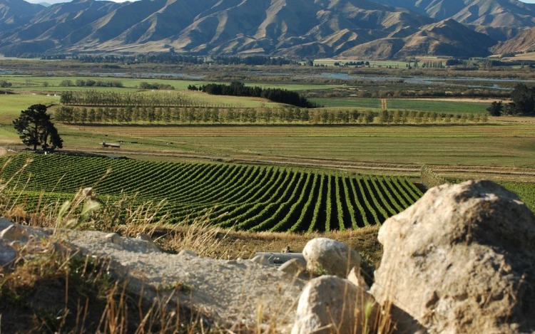 Waitaki, la región secreta del vino en Nueva Zelanda