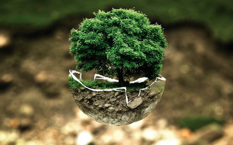 5 de junio: Día Mundial del Medio Ambiente