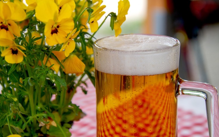 Por qué las cervezas bajas en alcohol y sin alcohol pueden considerarse bebidas saludables