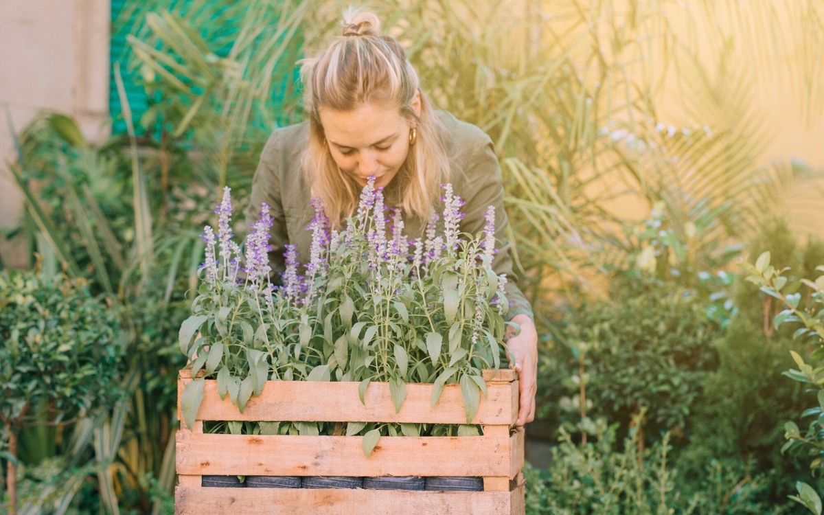 Tener ruda y lavanda juntas en el jardín de casa es mucho más que una tendencia decorativa; es una forma de invitar a la naturaleza a ser parte de nuestro hogar y de nuestro bienestar.
