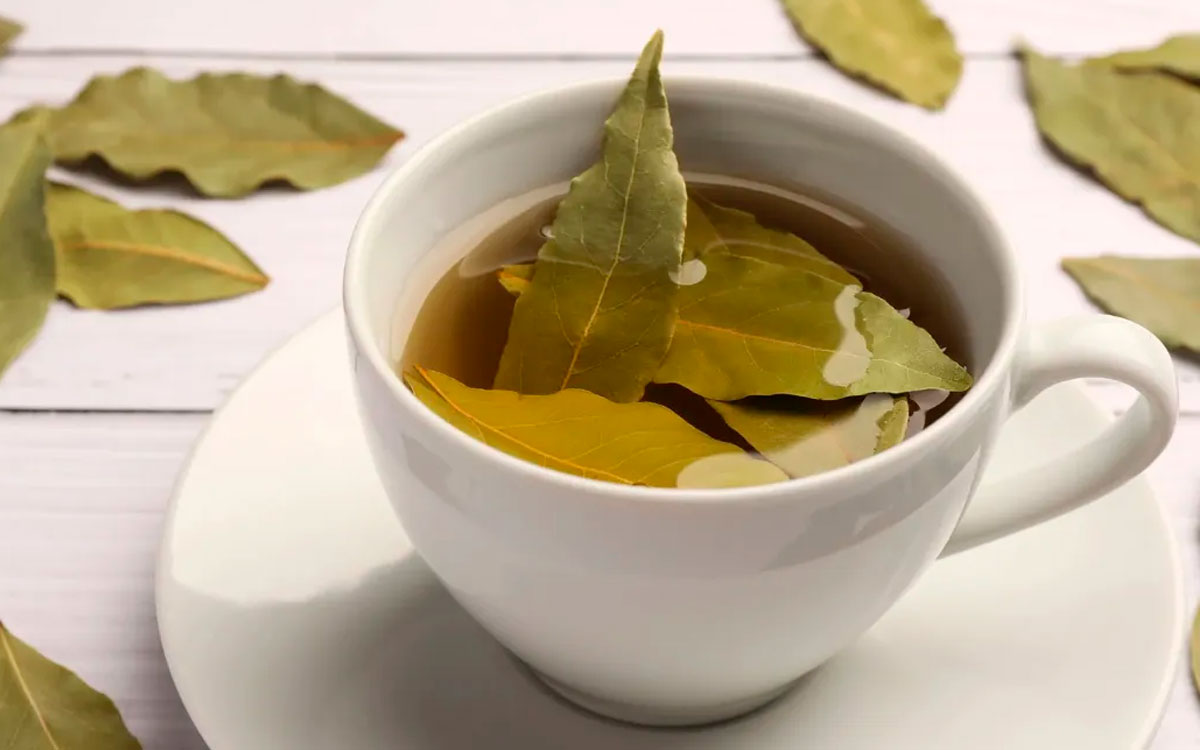 5 razones por las que el té de laurel es más poderoso de lo que imaginas