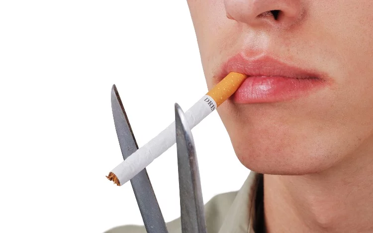 También te puede interesar esta nota... 31 de mayo: Día Mundial Sin Tabaco