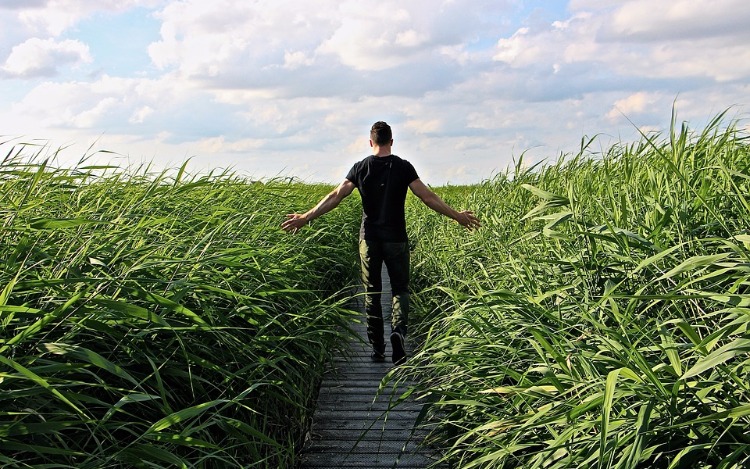 También te puede interesar esta nota... 5 Consejos para llegar a fin de año sin stress