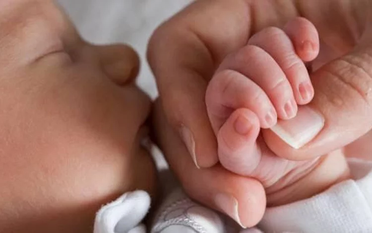 También te puede interesar esta nota... Células madre: salud para el futuro
