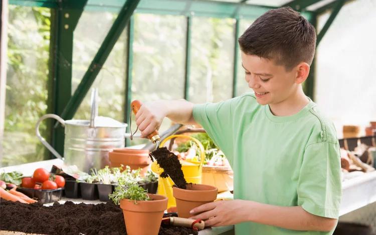 También te puede interesar esta nota... Cómo hacer compost casero en tu casa y reducir tu basura a la mitad
