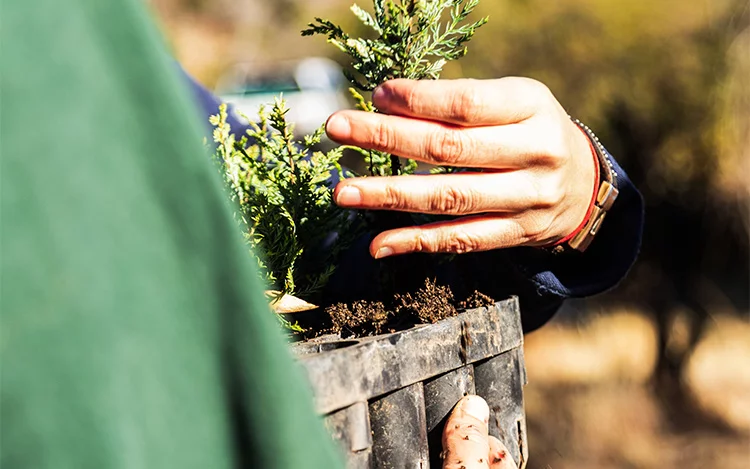 También te puede interesar esta nota... Compensá tu huella, de la mano del turismo sustentable