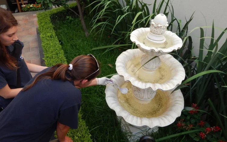 También te puede interesar esta nota... Dengue: Cómo prevenir enfermedades transmitidas por el mosquito Aedes aegypti