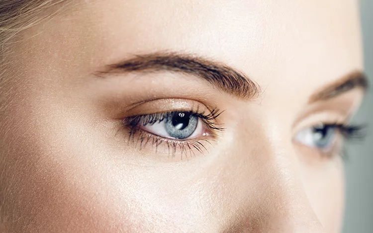 También te puede interesar esta nota... En el Día Mundial de la Visión la OMS fomenta los controles oftalmológicos para prevenir las discapacidades visuales