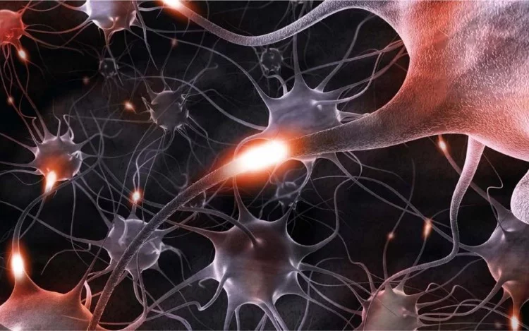 También te puede interesar esta nota... Epilepsia: 10 mitos para derribar