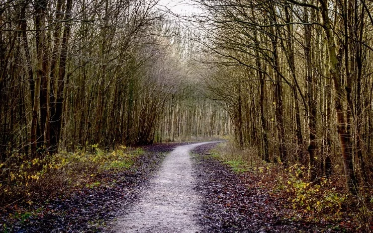 También te puede interesar esta nota... La búsqueda del sentido de la vida