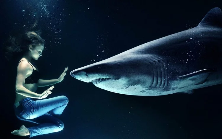 También te puede interesar esta nota... Las personas prosperan mas cuando hay desafíos en su medio ambiente