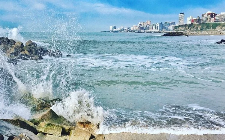 También te puede interesar esta nota... Mar del Plata, el destino ideal para visitar todo el año