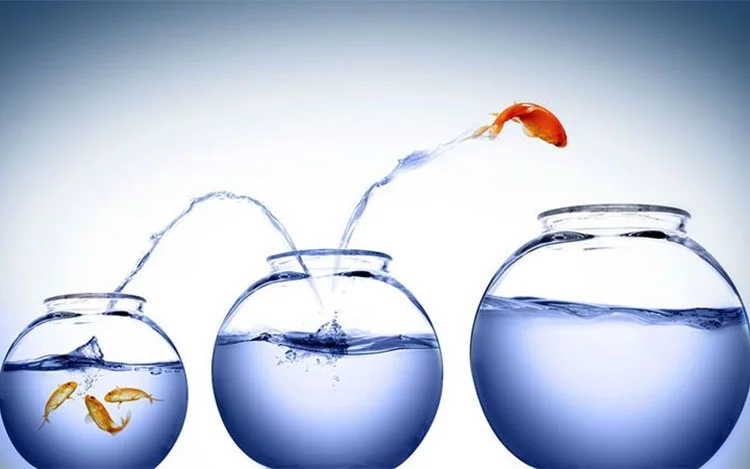 También te puede interesar esta nota... Qué es un paradigma, y 3 ejercicios para cambiarlo